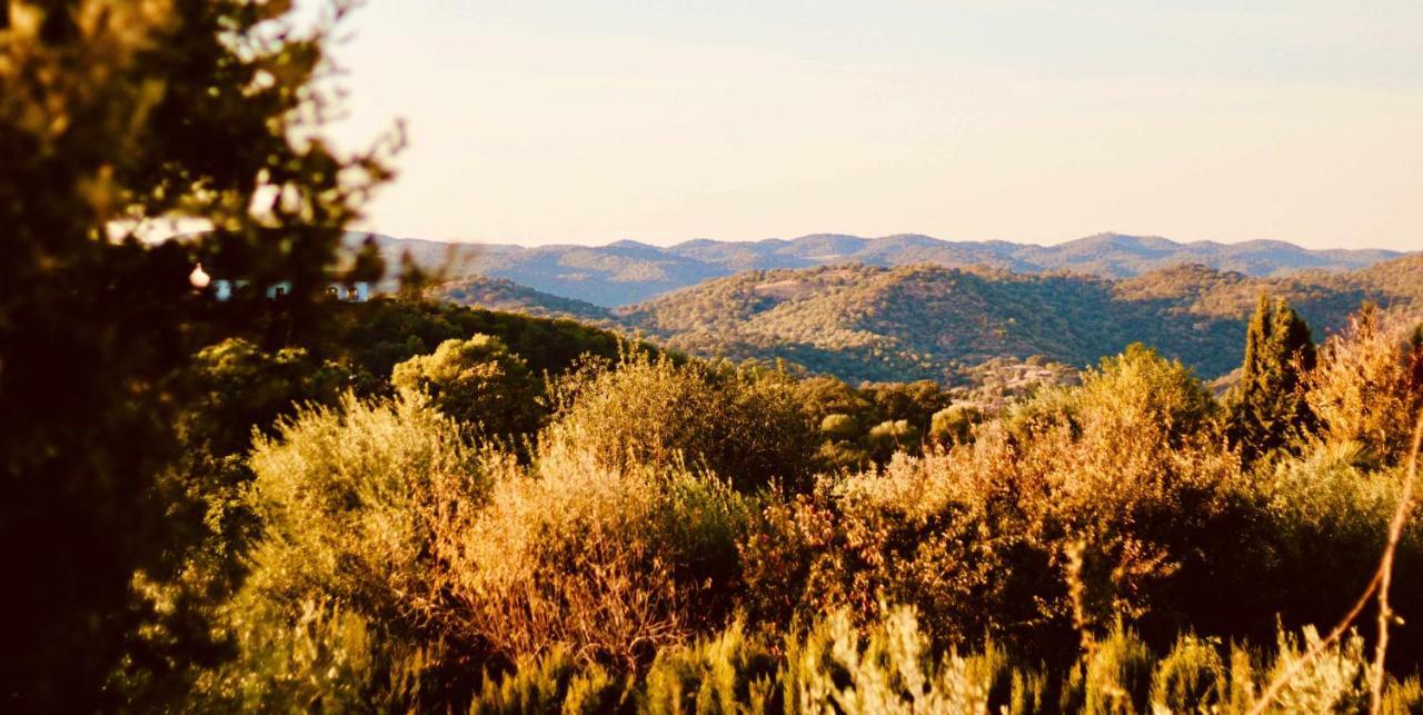 La Garrida tu casa rural con encanto cerca de Córdoba Almodovar del Rio Exterior foto